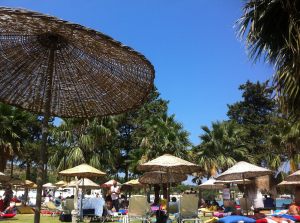 922443_10151641839283401_1198335_o